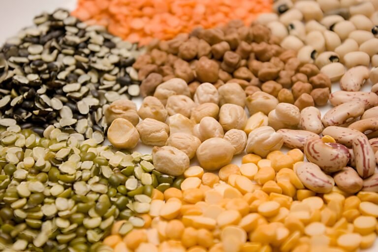 istockphoto-116810648-612x612 (1)